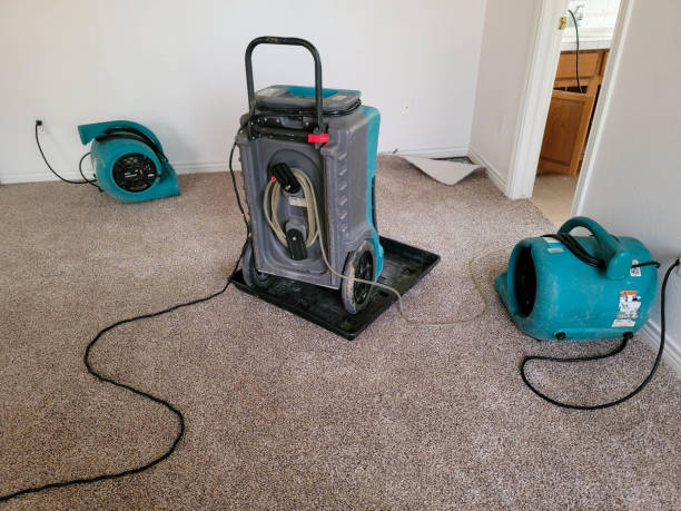 Best Water damage restoration near me  in Oakwood, OH