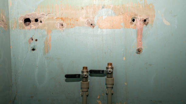 Best Water damage restoration specialists  in Oakwood, OH